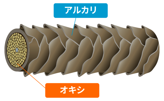 毛髪表面図